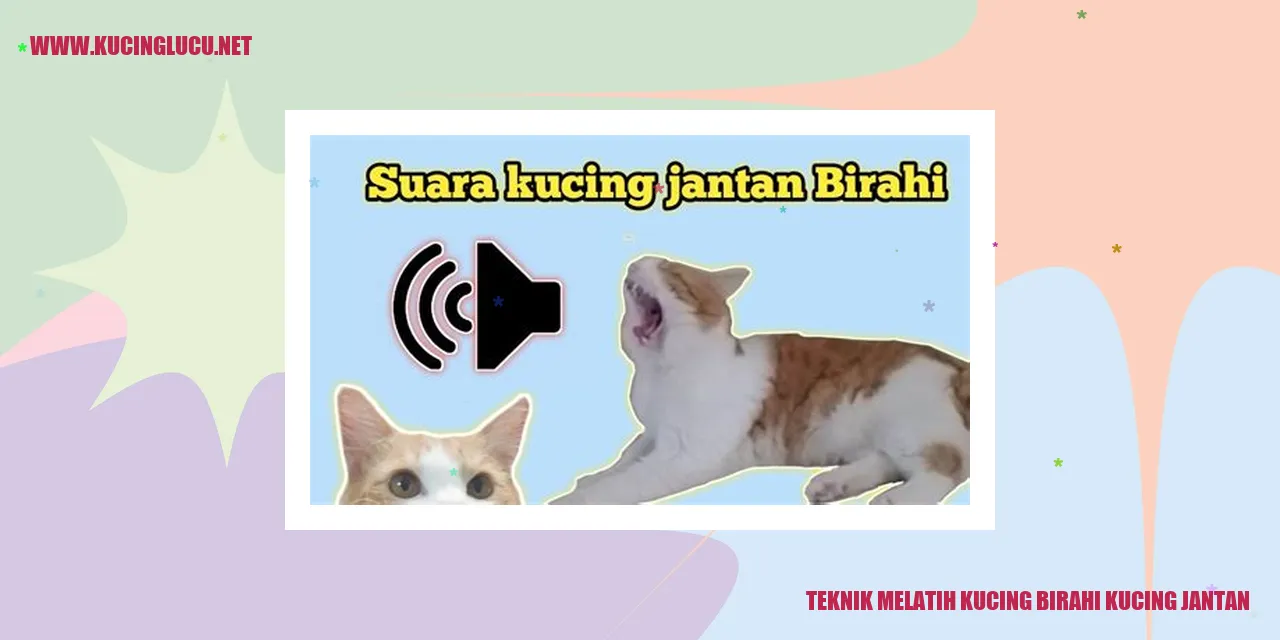 Kucing Birahi