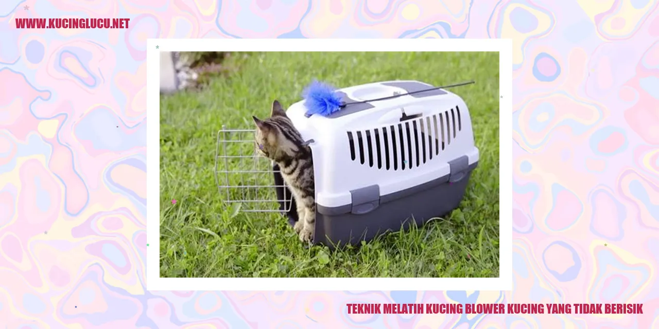 Gambar Kucing Blower