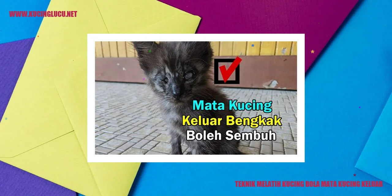 Gambar kucing