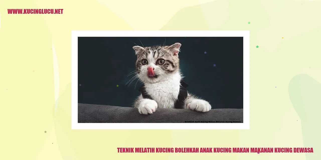 Gambar kucing