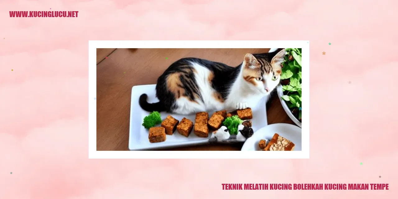 Kucing Makan Tempe