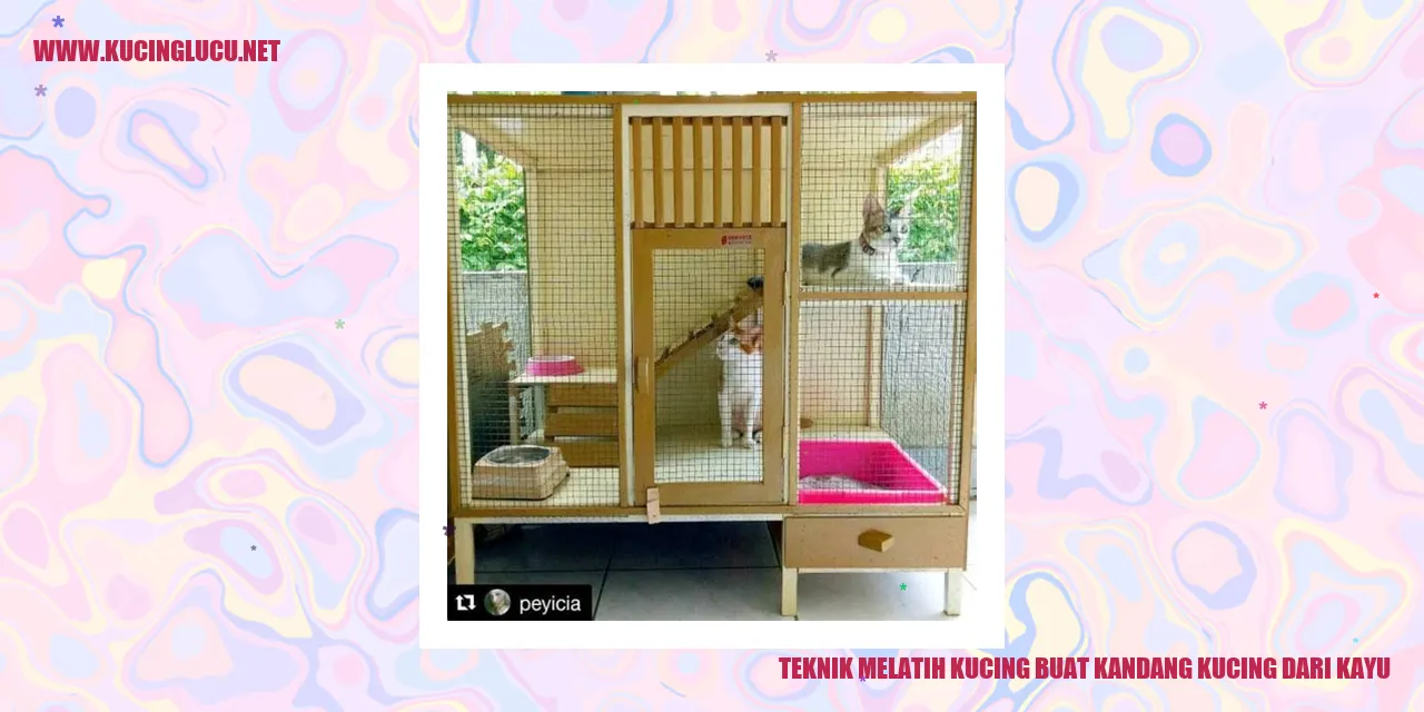Kandang Kucing Kayu