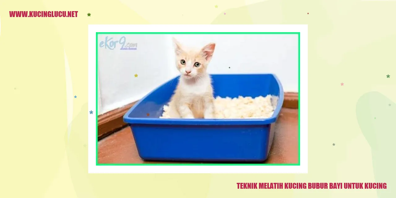 Kucing makan bubur bayi