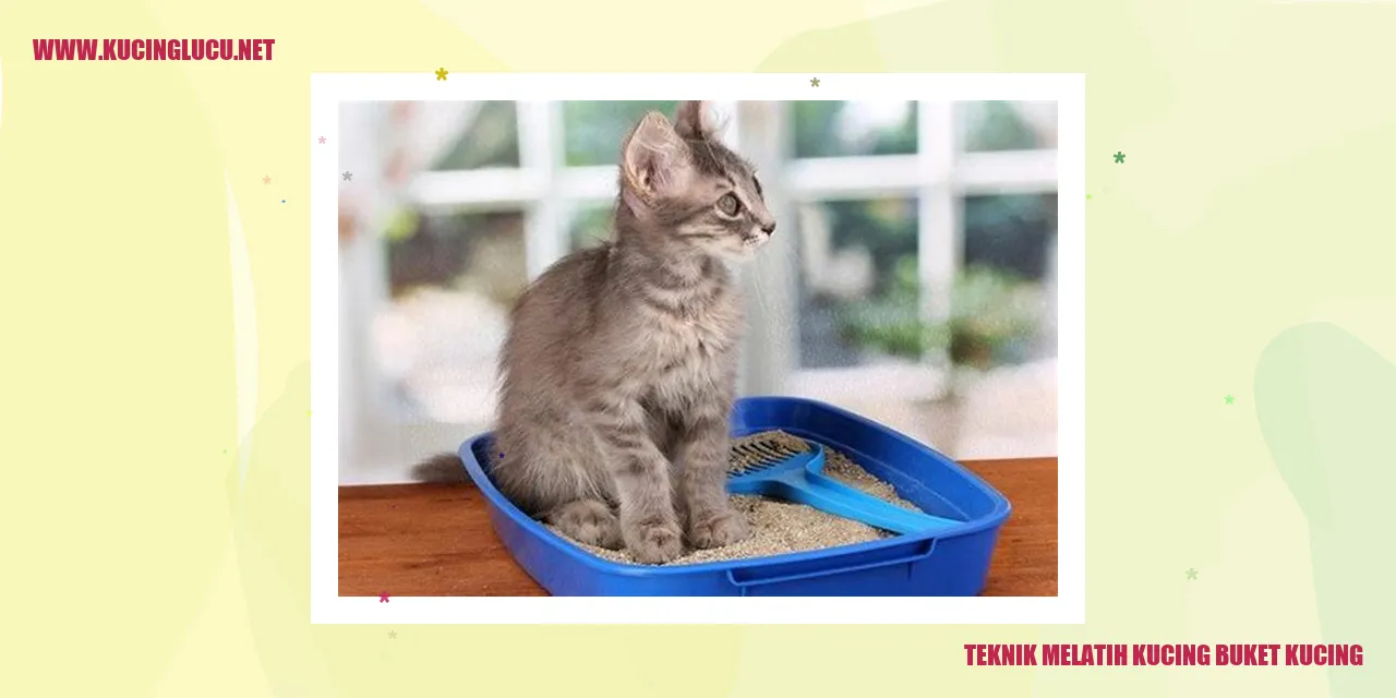 Gambar Melatih Kucing buket kucing