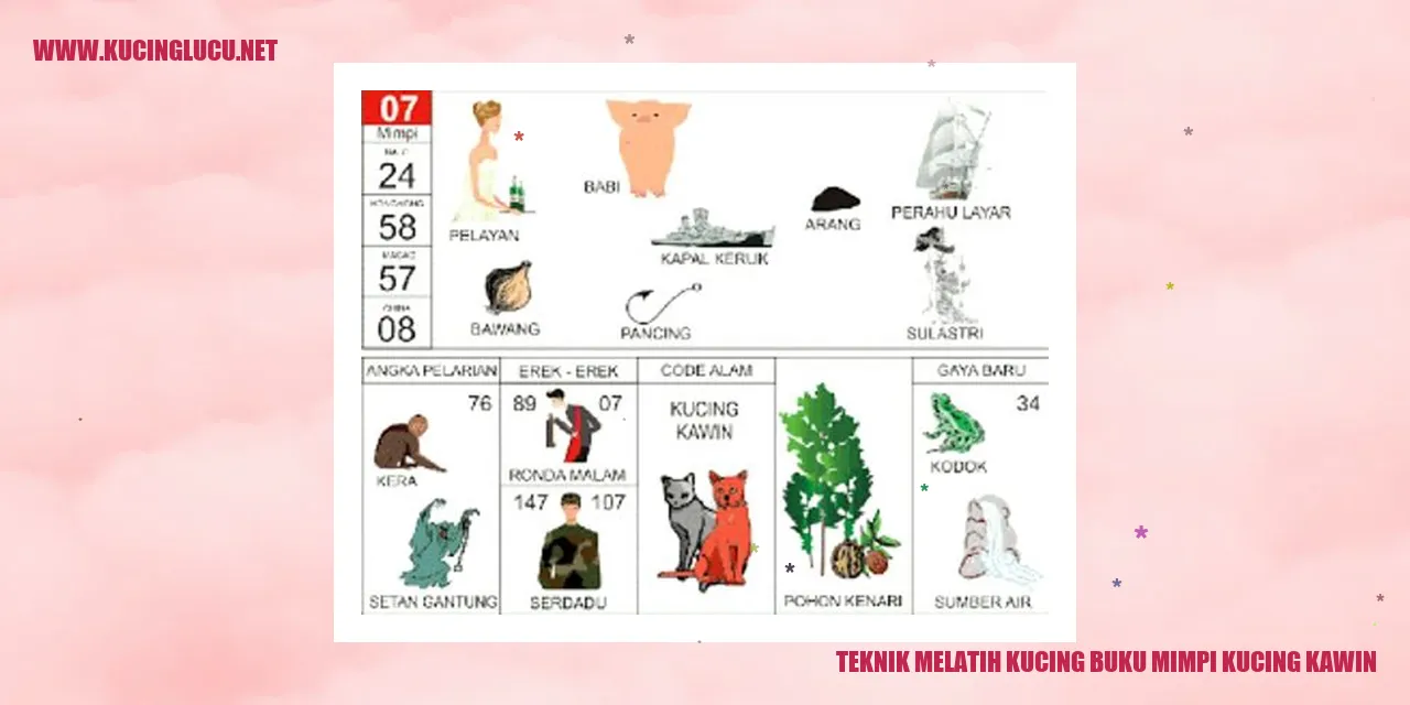 Buku Teknik Melatih Kucing