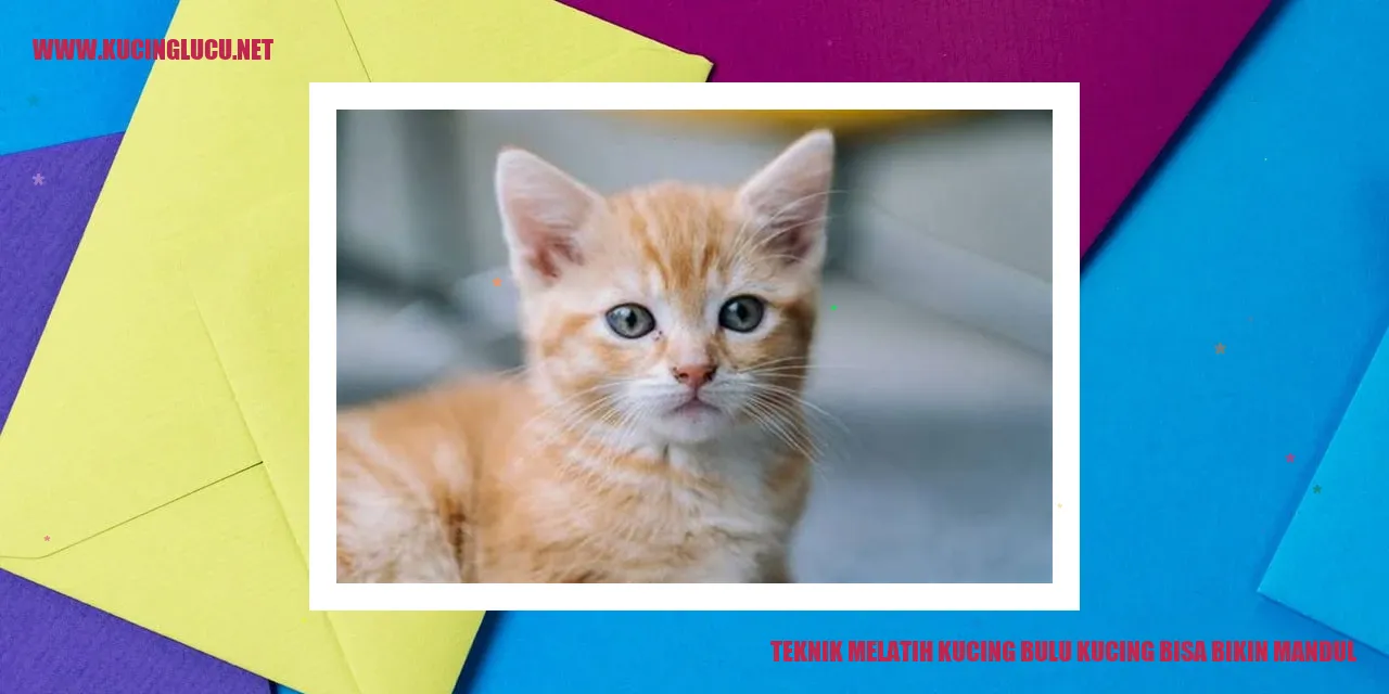 Gambar Kucing