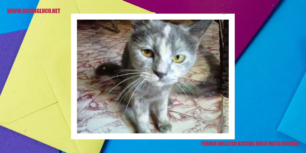 Kucing dengan bulu mata yang cantik
