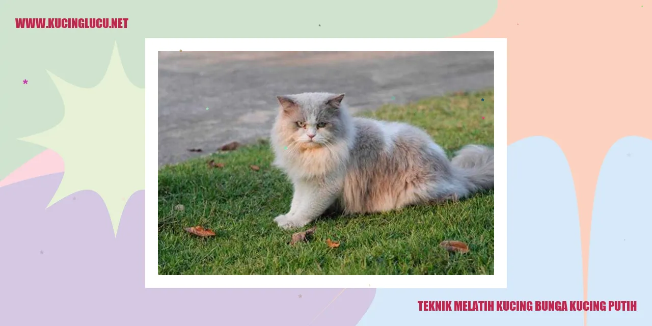 Kucing putih yang menggemaskan