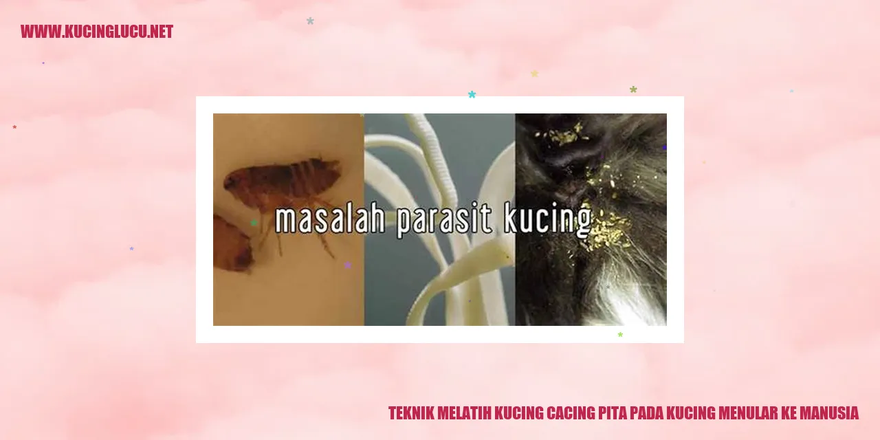 Kucing cacing pita