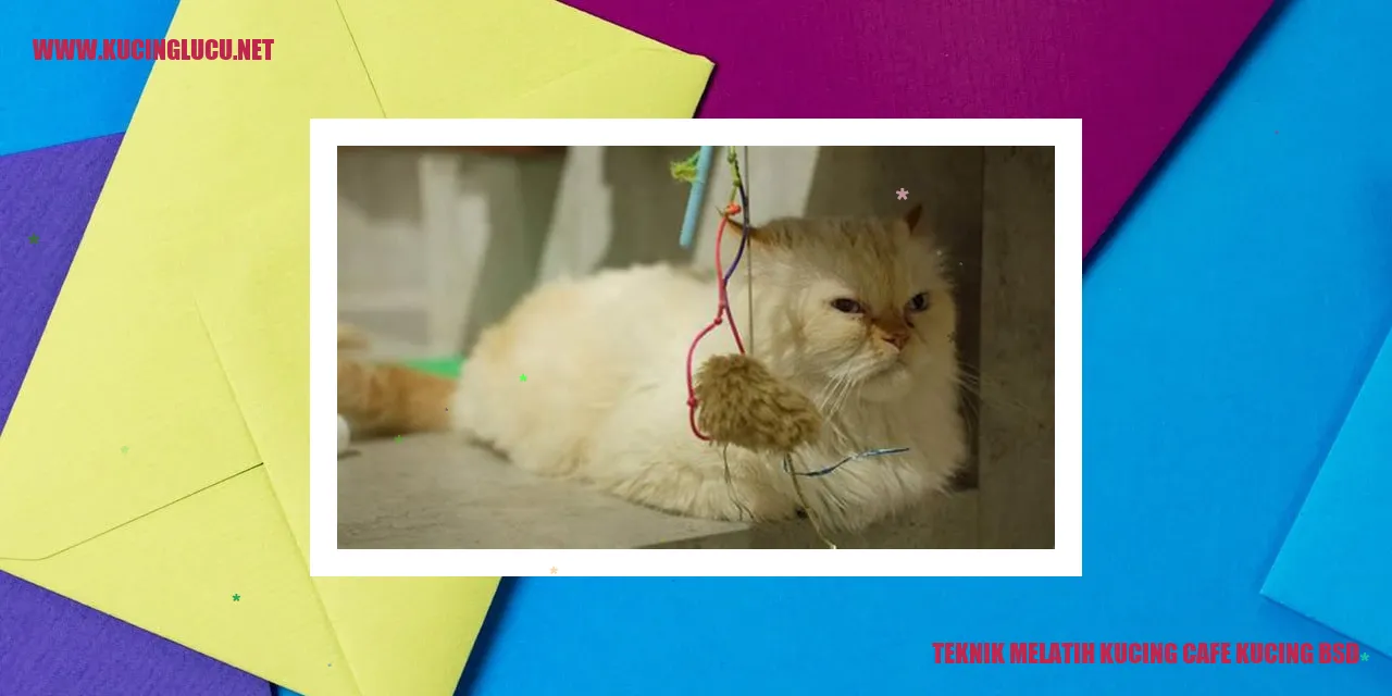 Gambar kucing di cafe