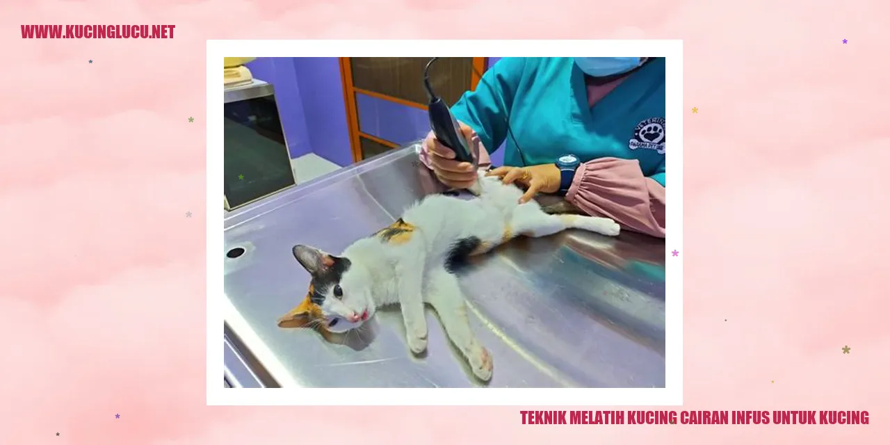 Gambar Kucing Cairan Infus