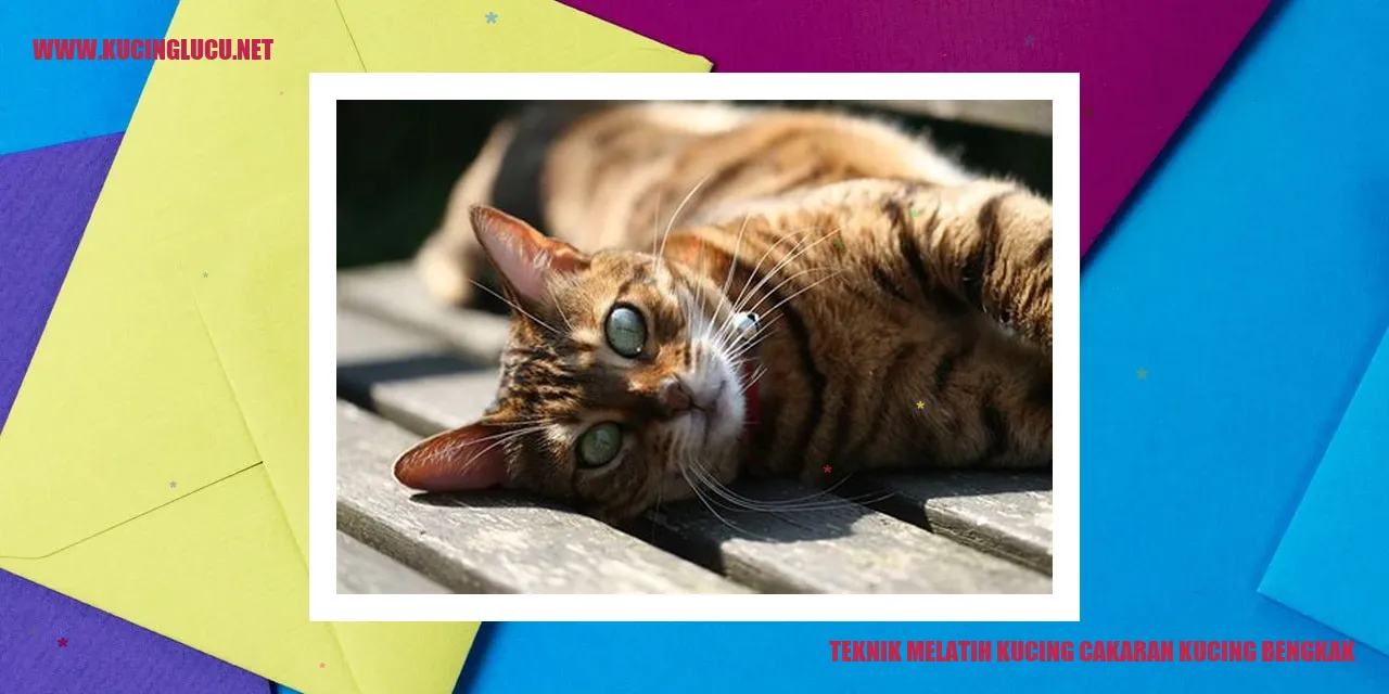 gambar kucing