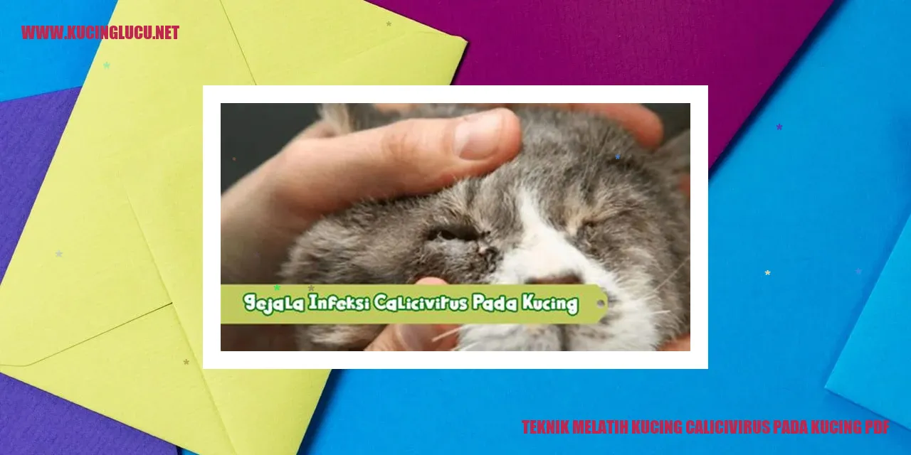 Teknik Membimbing Kucing Calicivirus pada Kucing
