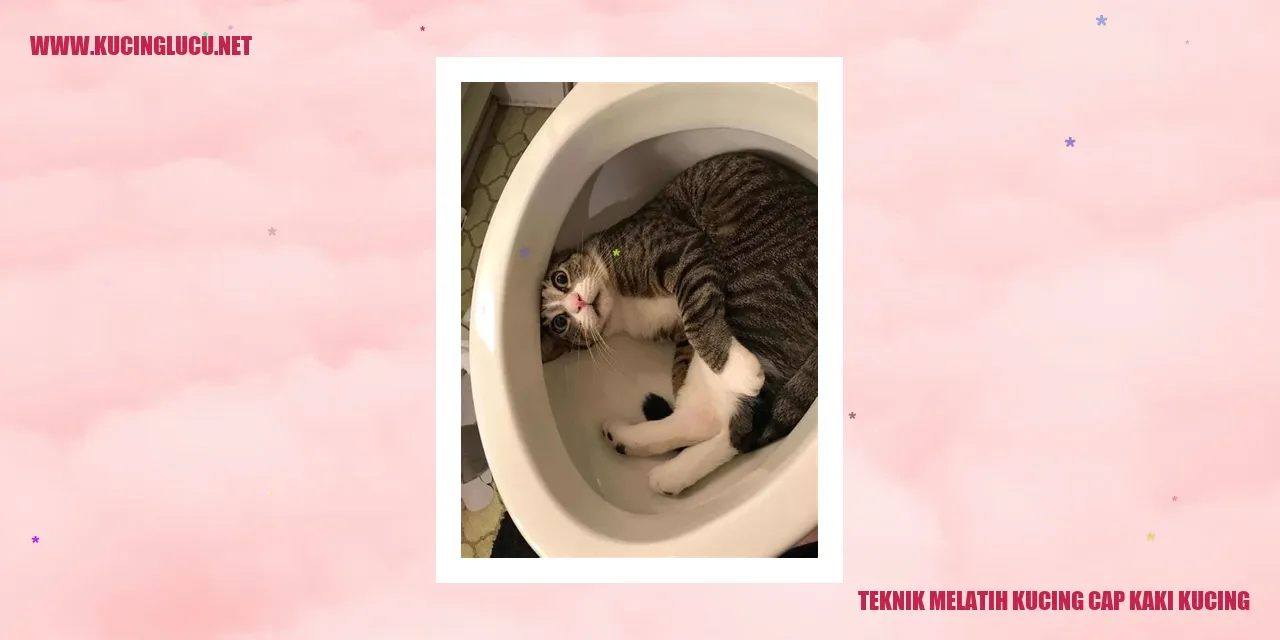 Teknik Melatih Kucing cap kaki kucing