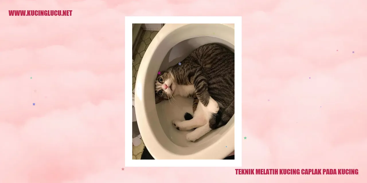 gambar kucing caplak