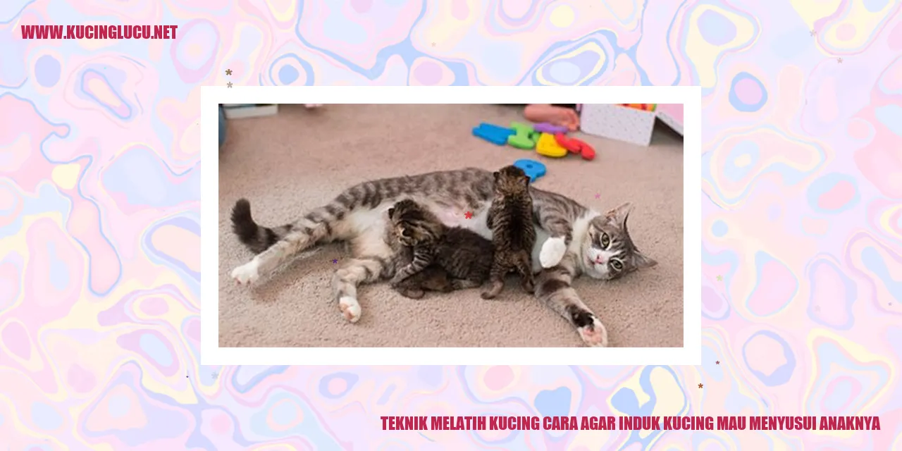 Teknik Melatih Kucing cara agar induk kucing mau menyusui anaknya