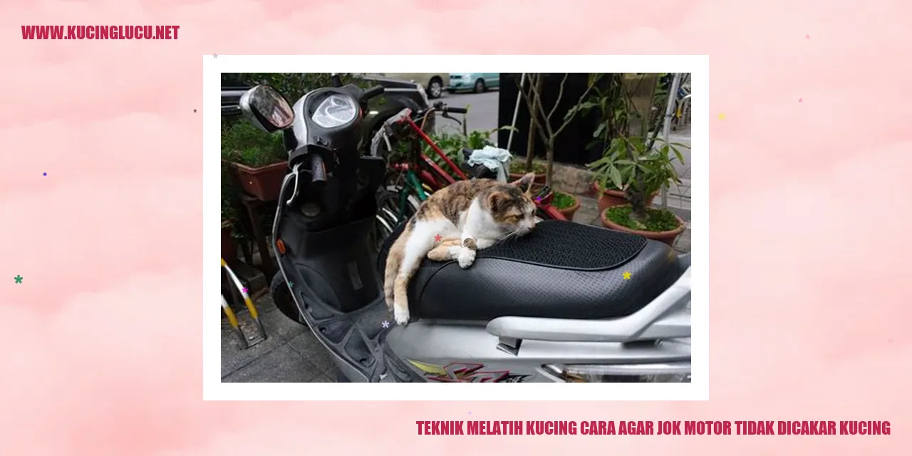 gambar kucing