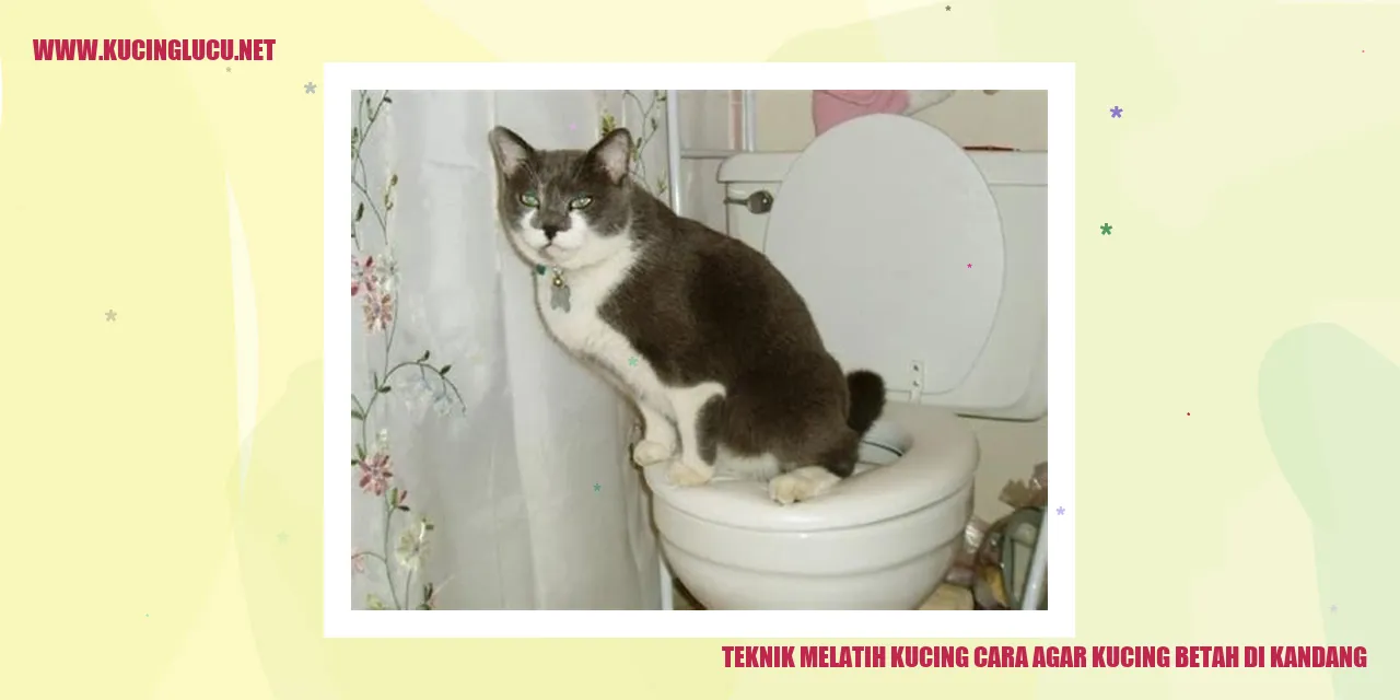 Kucing betah di kandang