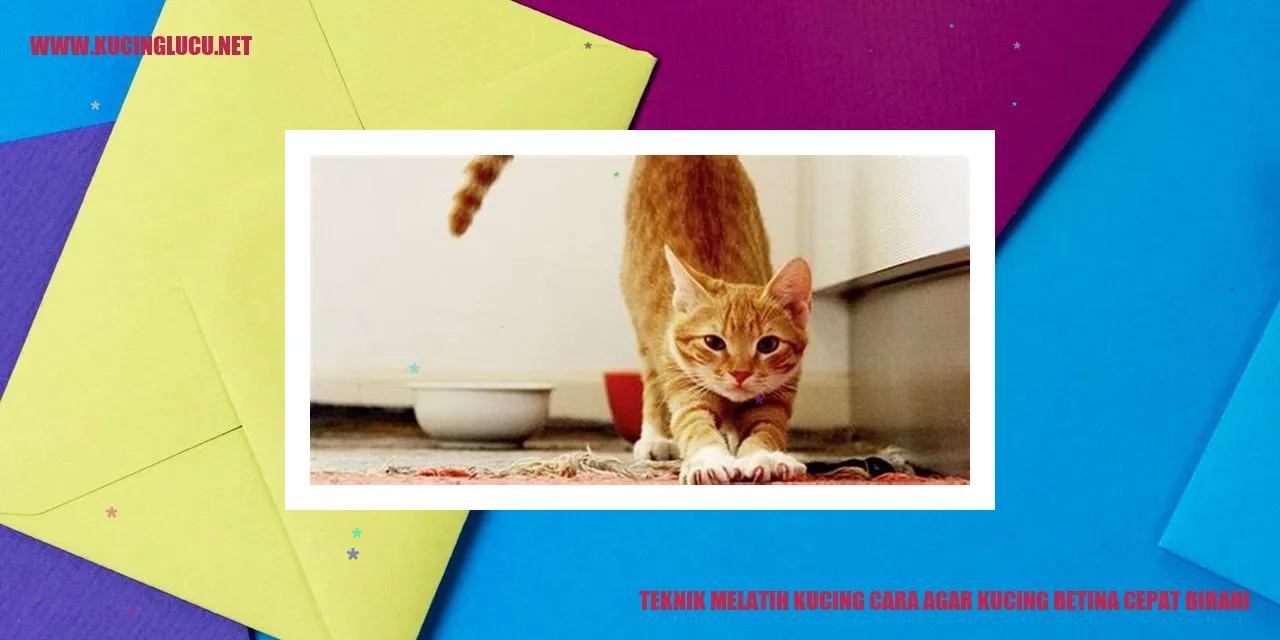 Gambar Kucing Betina