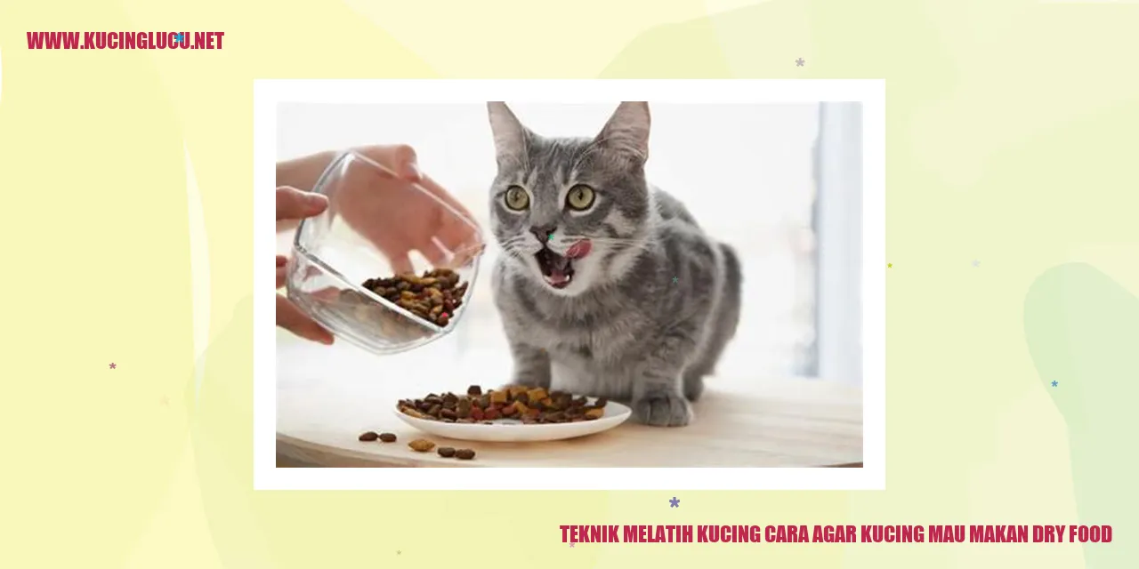 Teknik Melatih Kucing cara agar kucing mau makan dry food