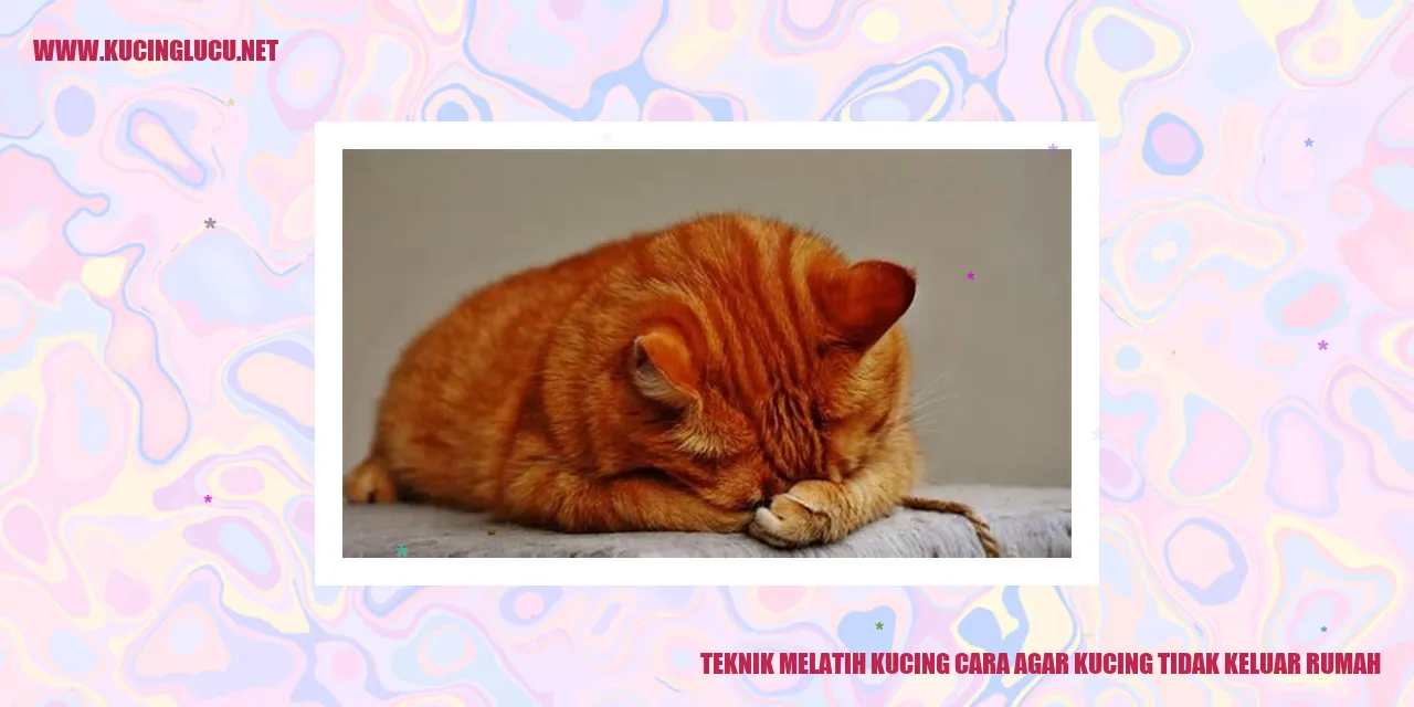 Gambar Kucing Menggunakan Tali Peliharaan di Area Dalam Rumah
