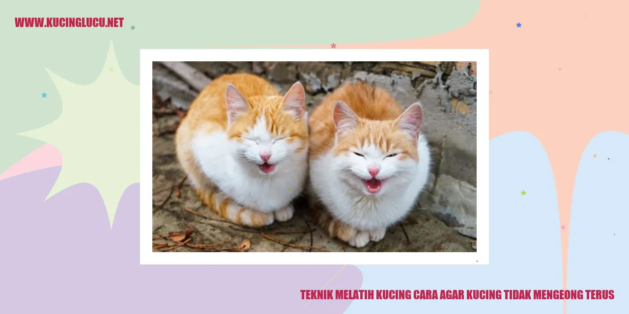 Kucing tidak mengeong terus