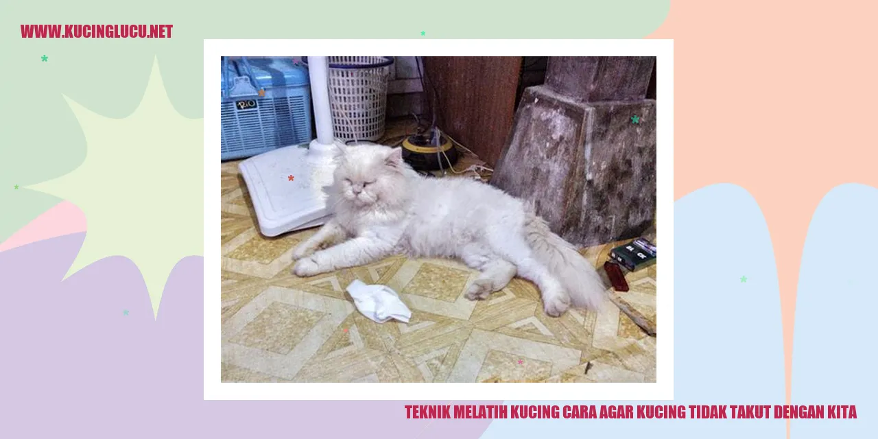 Kucing yang berani mendekati manusia