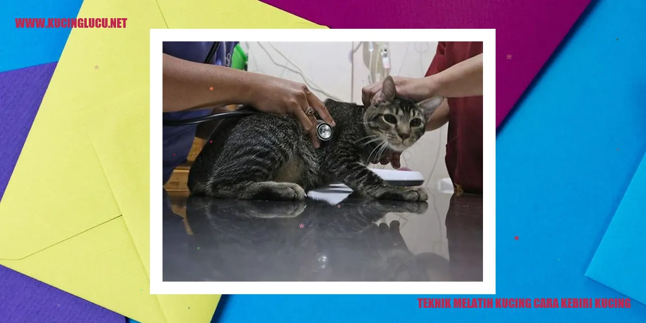 Gambar Kebiri Kucing