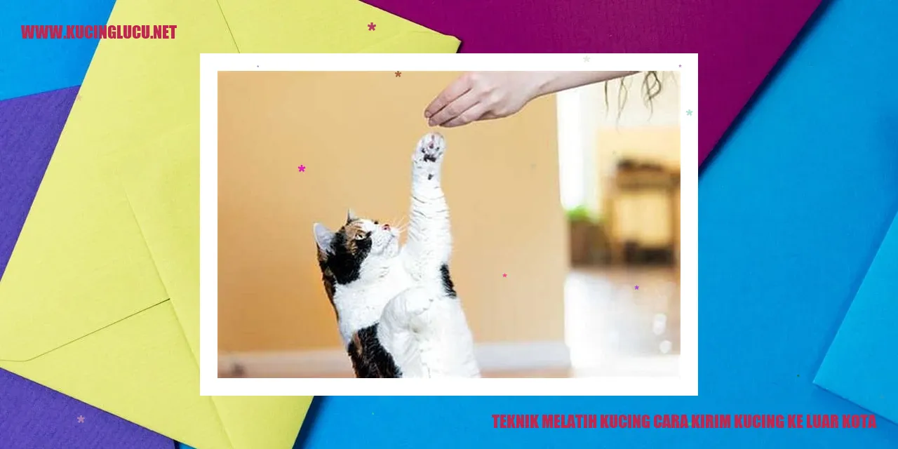 Gambar Teknik Melatih Kucing Cara Kirim Kucing ke Luar Kota