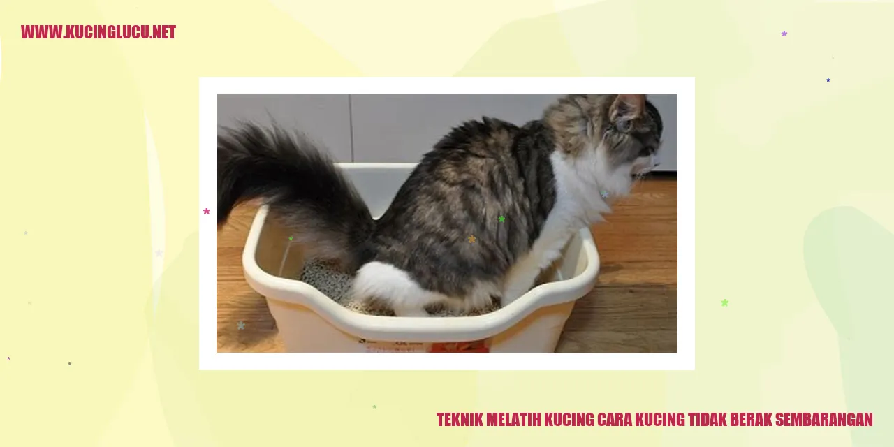 Teknik Melatih Kucing cara kucing tidak berak sembarangan
