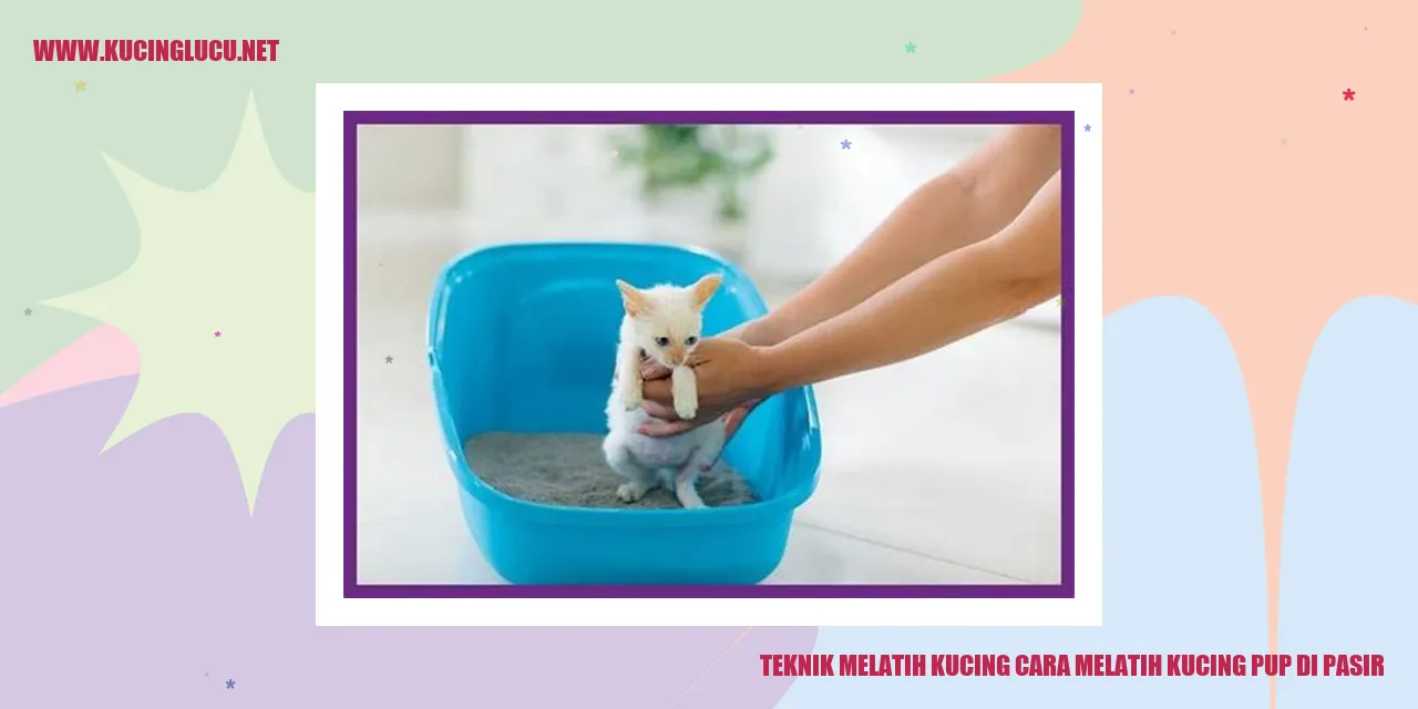 Kucing buang air di pasir