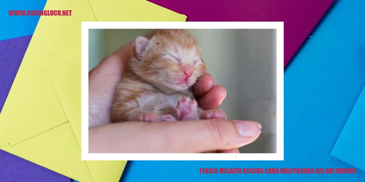 Teknik Melatih Kucing cara melepaskan ari ari kucing