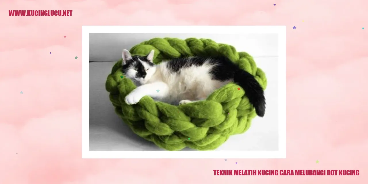 Gambar Kucing