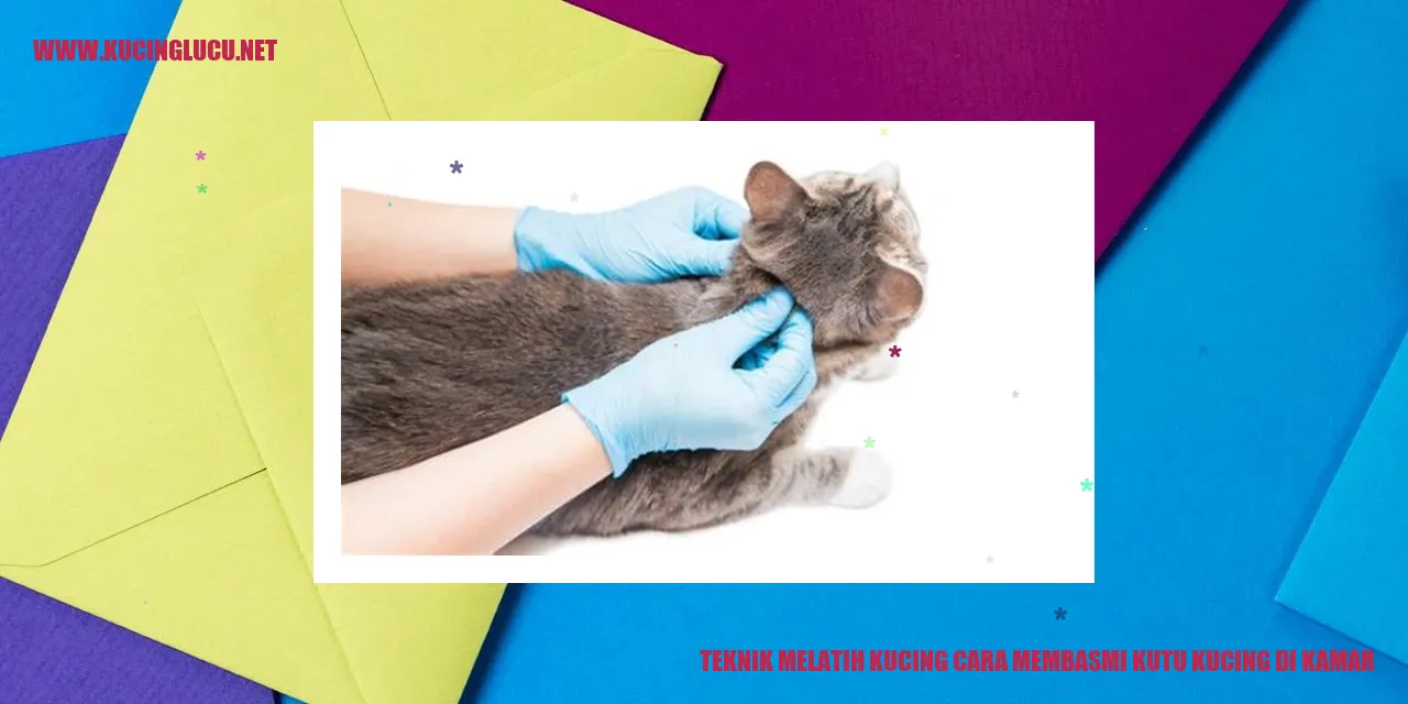 Teknik Mengatasi Kutu Kucing di Kamar