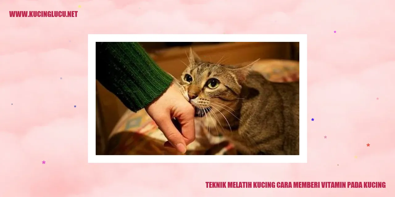 Ilustrasi Kucing dengan Vitamin