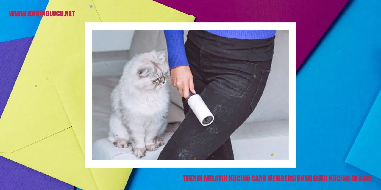 Kucing menyapu bulu di pakaian