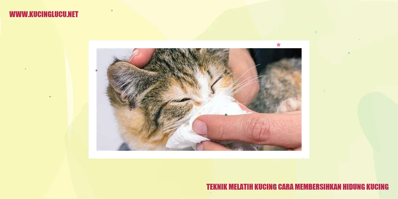 gambar kucing yang sedang dibersihkan hidungnya