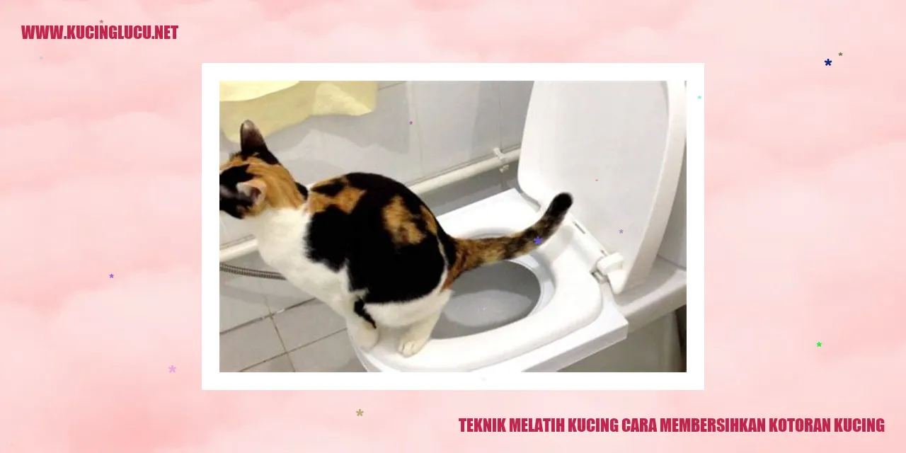 teknik melatih kucing cara membersihkan kotoran kucing