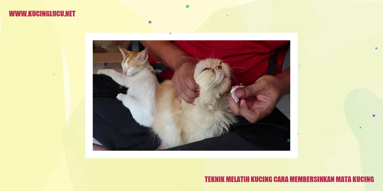 Cara membersihkan mata kucing