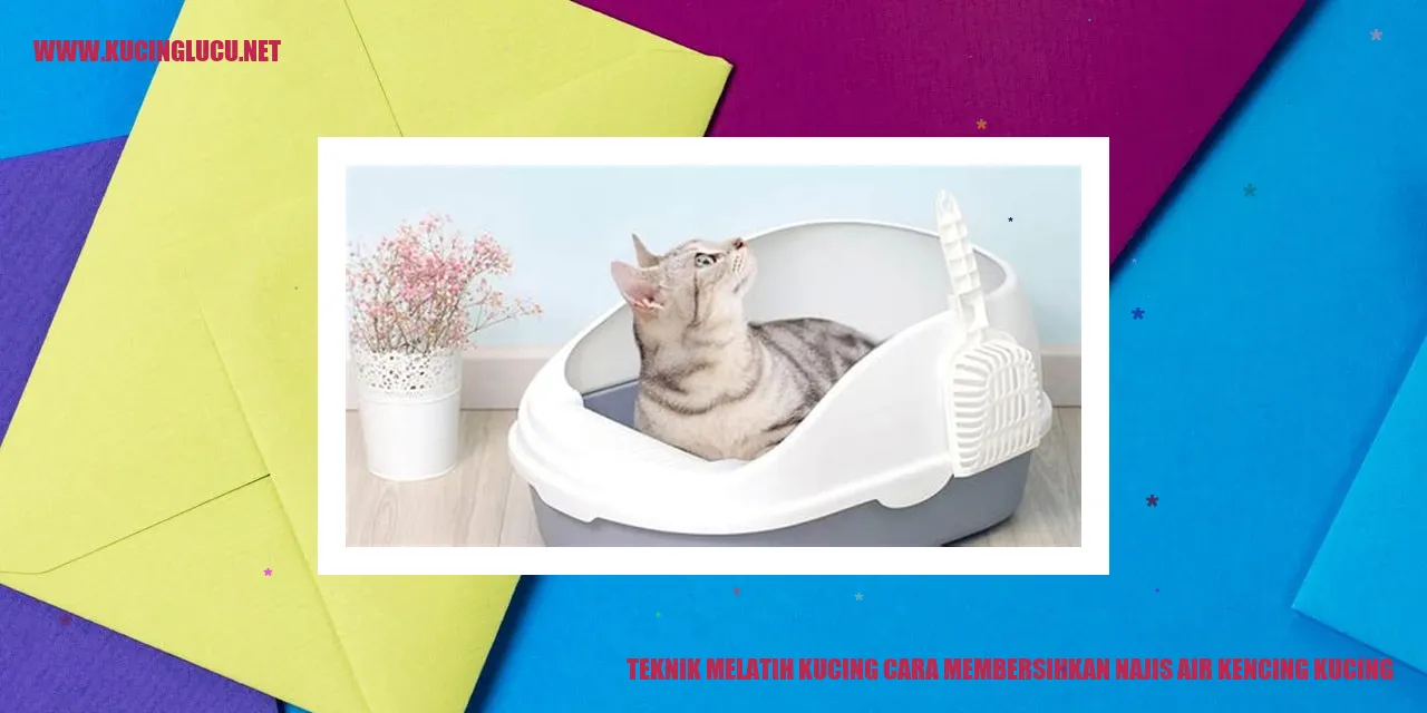 Kucing Mengeluarkan Air Kencing