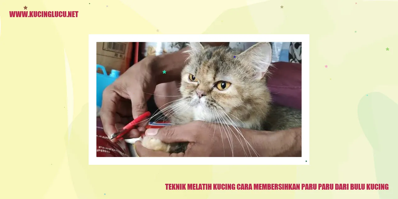 Kucing Membersihkan Bulu