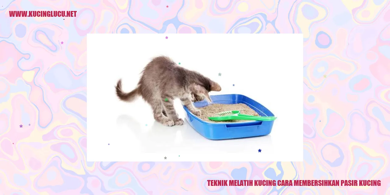 Gambar Kucing Berada di Dekat Pasir Kucing