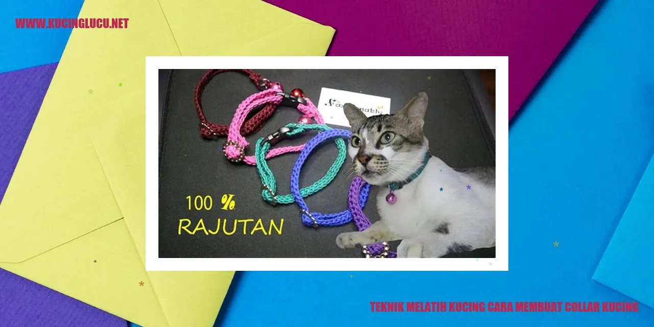Gambar: Melatih Kucing Menggunakan Kerah