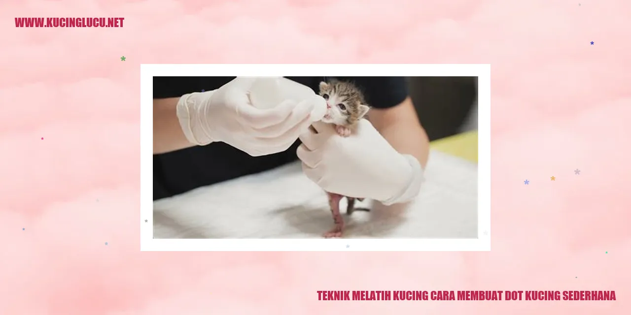 Teknik Mentraining Kucing: Membuat Mainan Tongkat Kucing Sederhana