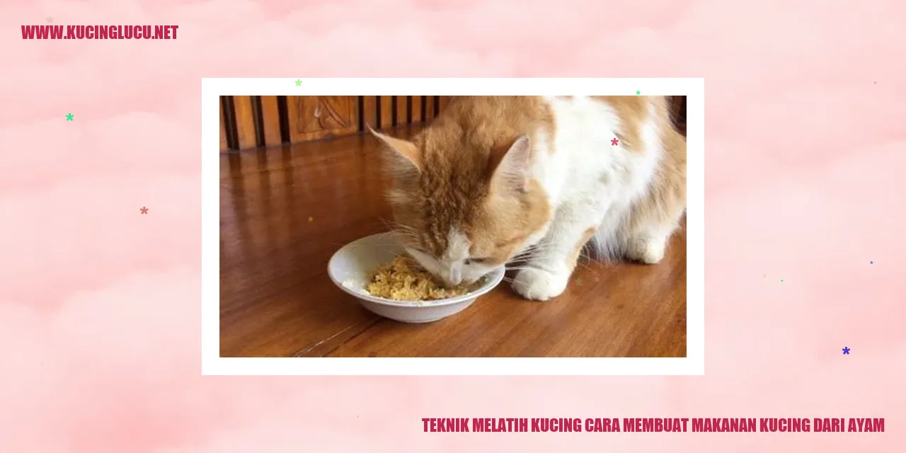 Menyiapkan Makanan Kucing dari Daging Ayam