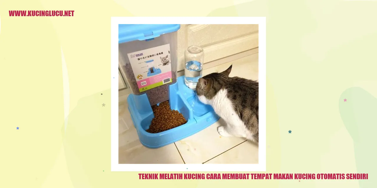Gambar kucing makan