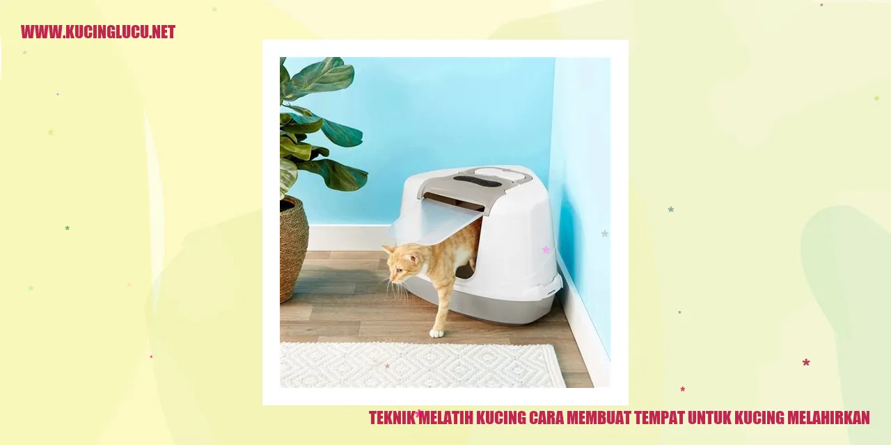 Gambar kucing dalam keadaan melahirkan