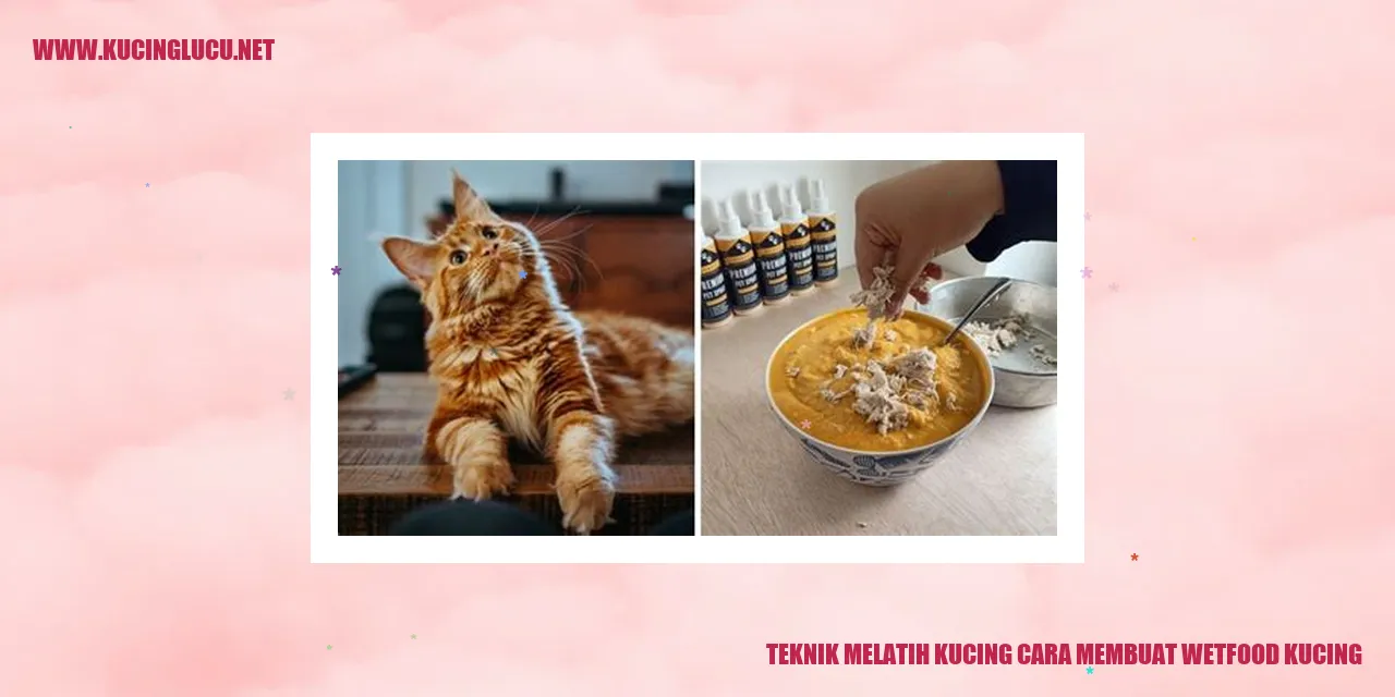 Gambar kucing tengah menikmati wetfood