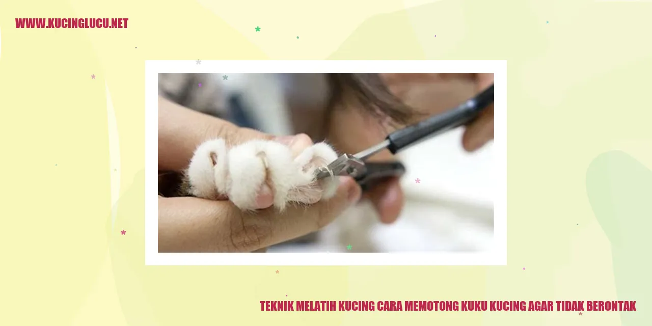 Teknik Melatih Kucing Agar Tidak Melawan Ketika Memotong Kuku