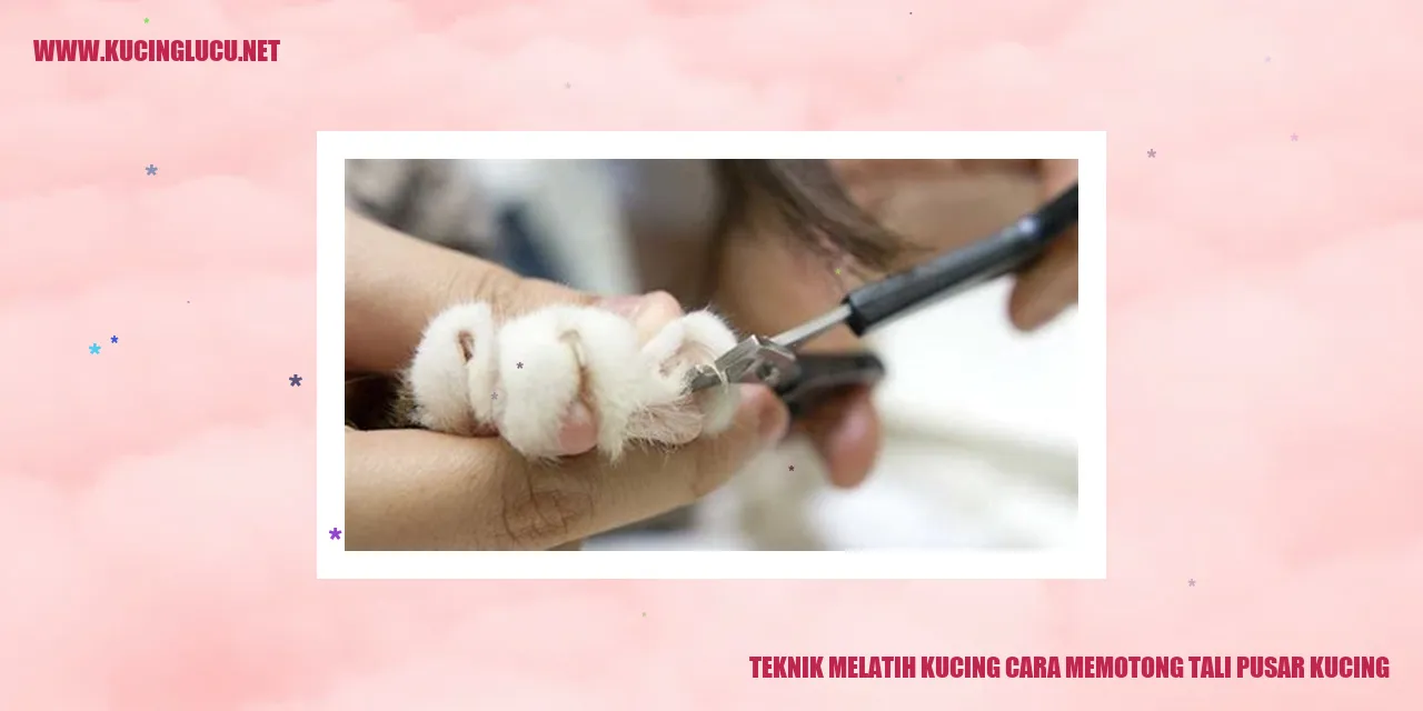 Gambar Kucing